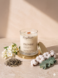 SunnyBrook Co. Promise coconut-apricot wax candle, clean spa fragrance with citrus and white tea notes